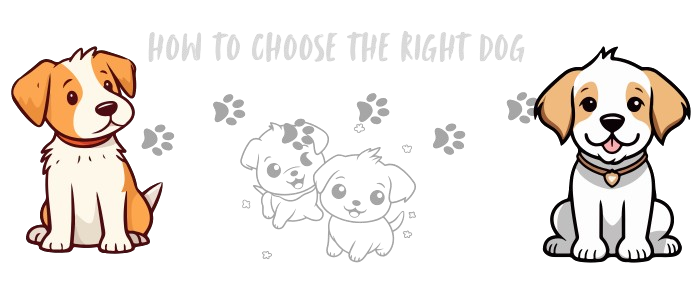 How to choose the right dog